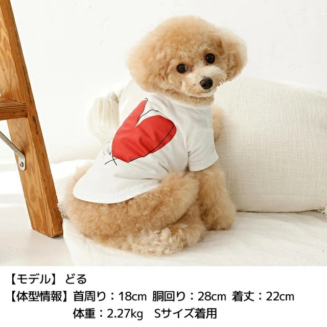 ティノティート TINOTITO ハートTシャツ【小型犬 犬服 ドッグウェア トップス Tシャツ】