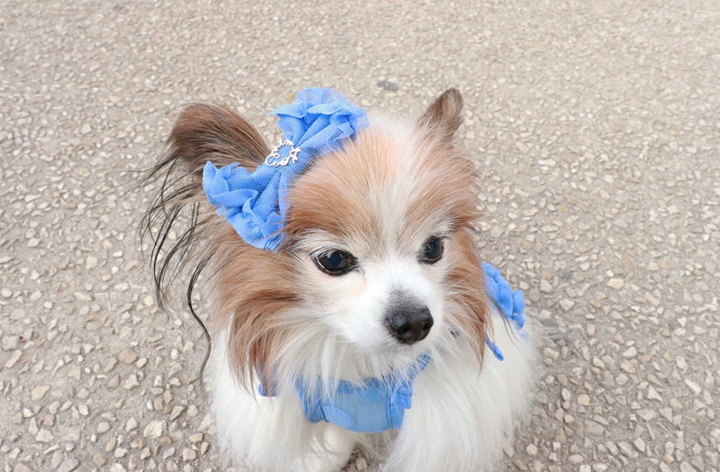ミムット mimtto Tiered Tulle Barrette【小型犬 犬用 ヘアアクセサリー バレッタ セレブ】