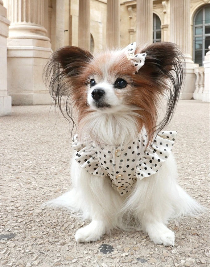 ミムット mimtto Silky Dot Blouse【小型犬 犬服 ドッグウェア トップス ブラウス セレブ】