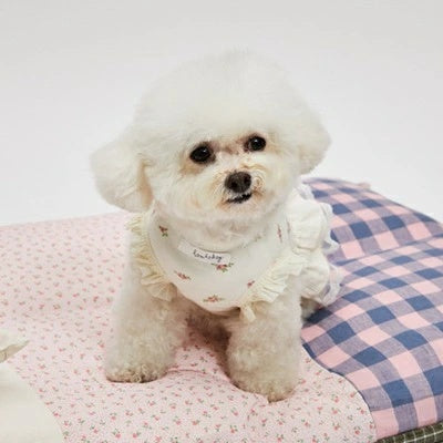ルイスドッグ louisdog Blanc Porcelain Dress【小型犬 犬服 ドッグウェア ワンピース ドレス スカート セレブ】
