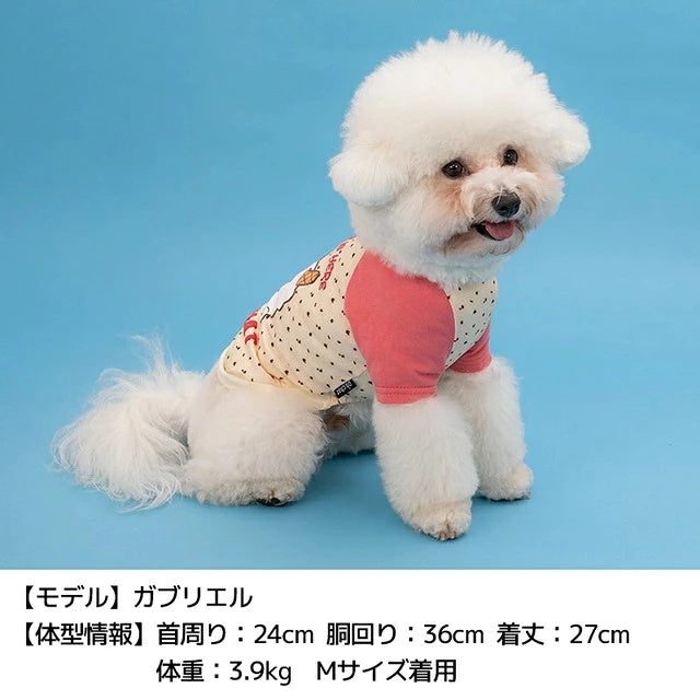 ディーズチャット D's CHAT ディーズ君ラグランTシャツ【犬服 ドッグウェア トップス Tシャツ セレブ】