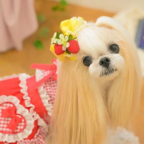 きゃんナナ CanNana フレッシュストロベリーバレッタリボン LB-330【小型犬 アクセサリー ヘアーアクセサリー リボン バレッタ】