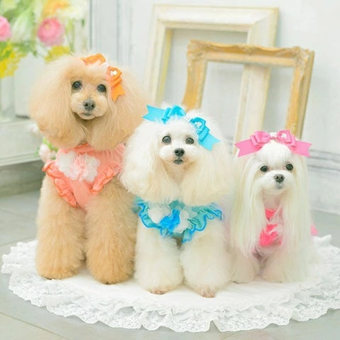 きゃんナナ CanNana ★ご予約★ チュールバレリーナワンピース 1183【小型犬 犬服 ドッグウェア ワンピース ドレス スカート】