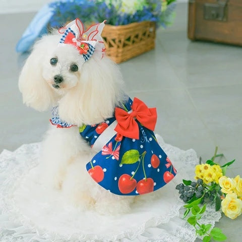 きゃんナナ CanNana ★ご予約★ オリジナルさくらんぼ柄COOLワンピース 1182【小型犬 犬服 ドッグウェア ワンピース ドレス スカート】