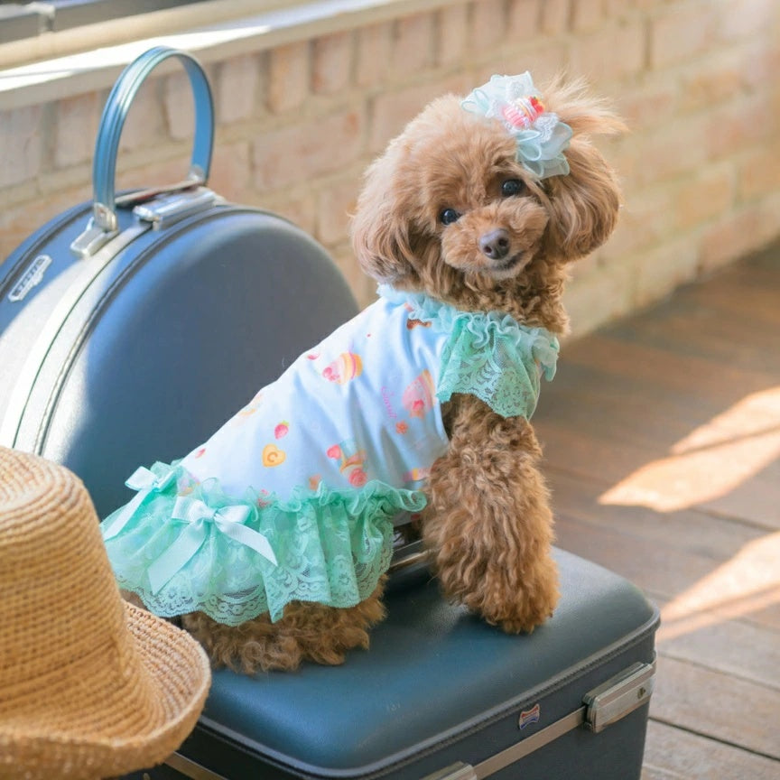 きゃんナナ CanNana ★ご予約★ オリジナルスイーツ柄COOLワンピース 1180【小型犬 犬服 ドッグウェア ワンピース ドレス スカート】