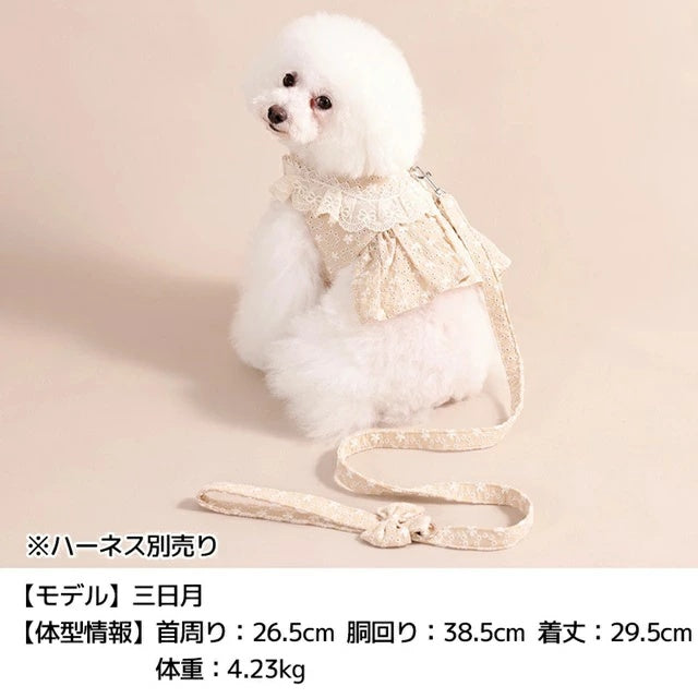 アントゥトゥ Un TouTou ナチュラルレースリード【犬用 リード お散歩 セレブ】