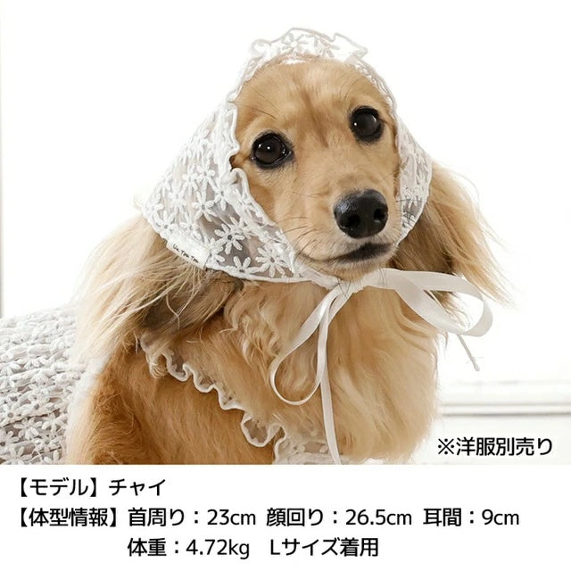 アントゥトゥ Un TouTou レース生地帽子【犬用 ドッグウエア ウエア 帽子 セレブ】