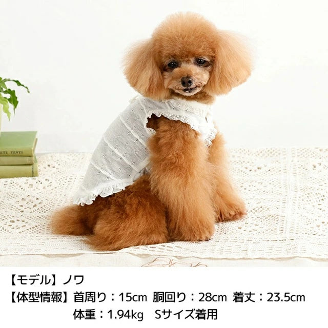 アントゥトゥ Un TouTou 透かし生地レースタンク【犬服 ドッグウエア ウエア トップス タンクトップ ノースリーブ セレブ】
