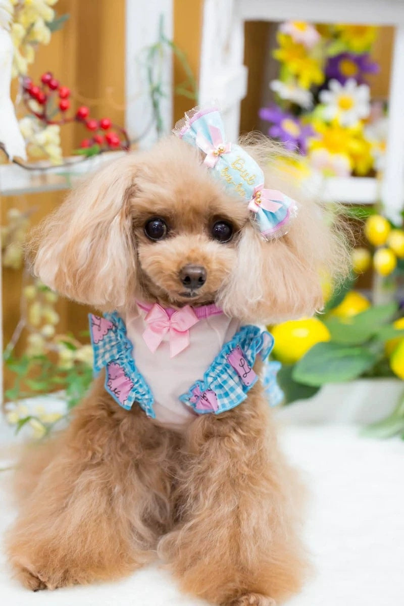 ブルブブ BUL BU-BU Dots Candy バレッタ【小型犬 犬用 ヘアアクセサリー ヘアアクセ バレッタ セレブ】