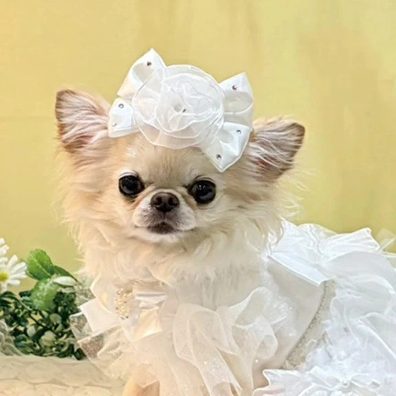 リュクスバーディ Luxe birdie シュローバレッタ【小型犬 犬用 ヘアアクセサリー バレッタ セレブ】