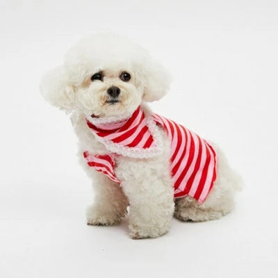 ルイスドッグ louisdog Cherry Swing TEE & Scarf【小型犬用 犬服 ドッグウエア ウエア トップス Tシャツ ケープ セレブ】