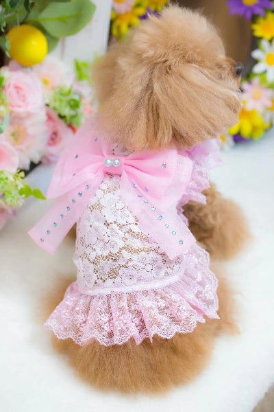 ブルブブ BUL BU-BU BIGリボンキャミ【小型犬 犬服 ドッグウエア ウエア トップス キャミソール ノースリーブ セレブ】