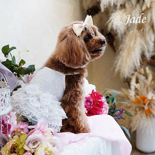 グラマーイズム Glamourism ジェイド(Jade)ホワイト【小型犬 犬服 ワンピース ドレス スカート セレブ】