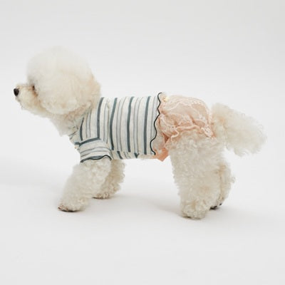 ルイスドッグ louisdog Apricot Lace Brief【小型犬 犬服 ボトムス ズボン つなぎ ロンパース セレブ】