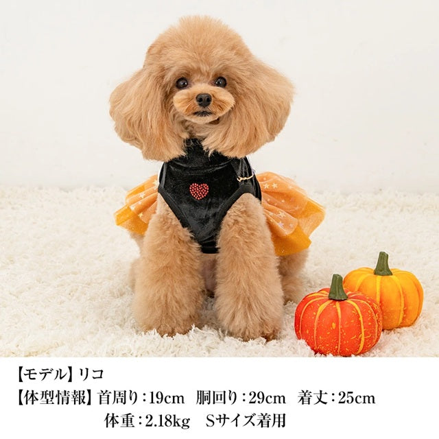 クレイジーブー CRAZYBOO ハロウィンワンピ ☆9月上旬順次発送予約☆【ドッグウエア 犬服 ワンピース スカート ドレス トイプードル チワワ ダックス セレブ】