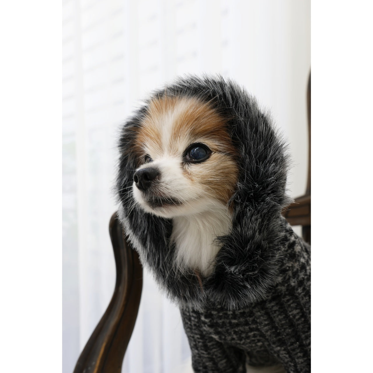 ミムット mimtto Plaid Fur Lined Hoodie ☆予約品☆【小型犬 犬服 トップス フーディ パーカー セレブ】