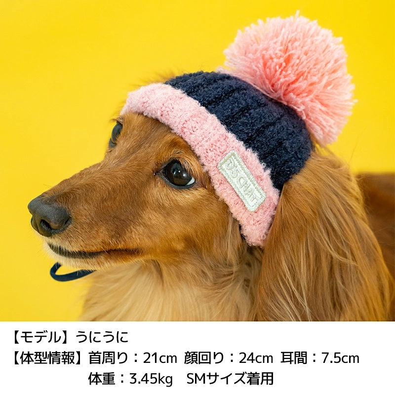 ディーズチャット D's CHAT バイカラーニット帽 ☆9月下旬順次発送☆【犬服 ドッグウェア ニット 帽子 セレブ】