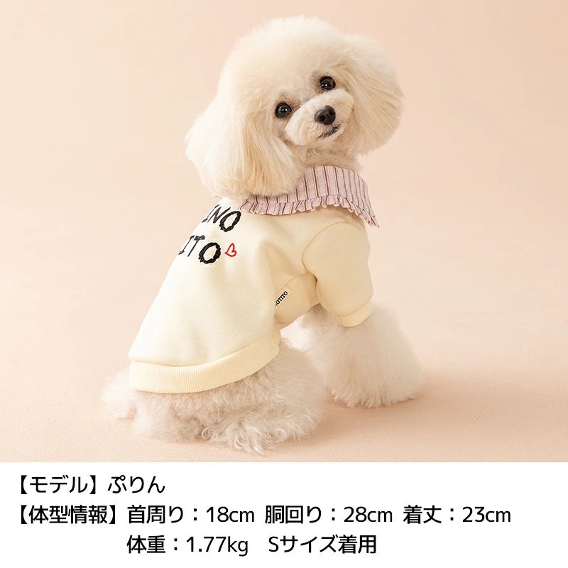 ティノティート TINOTITO ビッグカラートレーナー ☆9月下旬順次発送☆【小型犬 犬服 ドッグウェア トップス トレーナー スウェット】