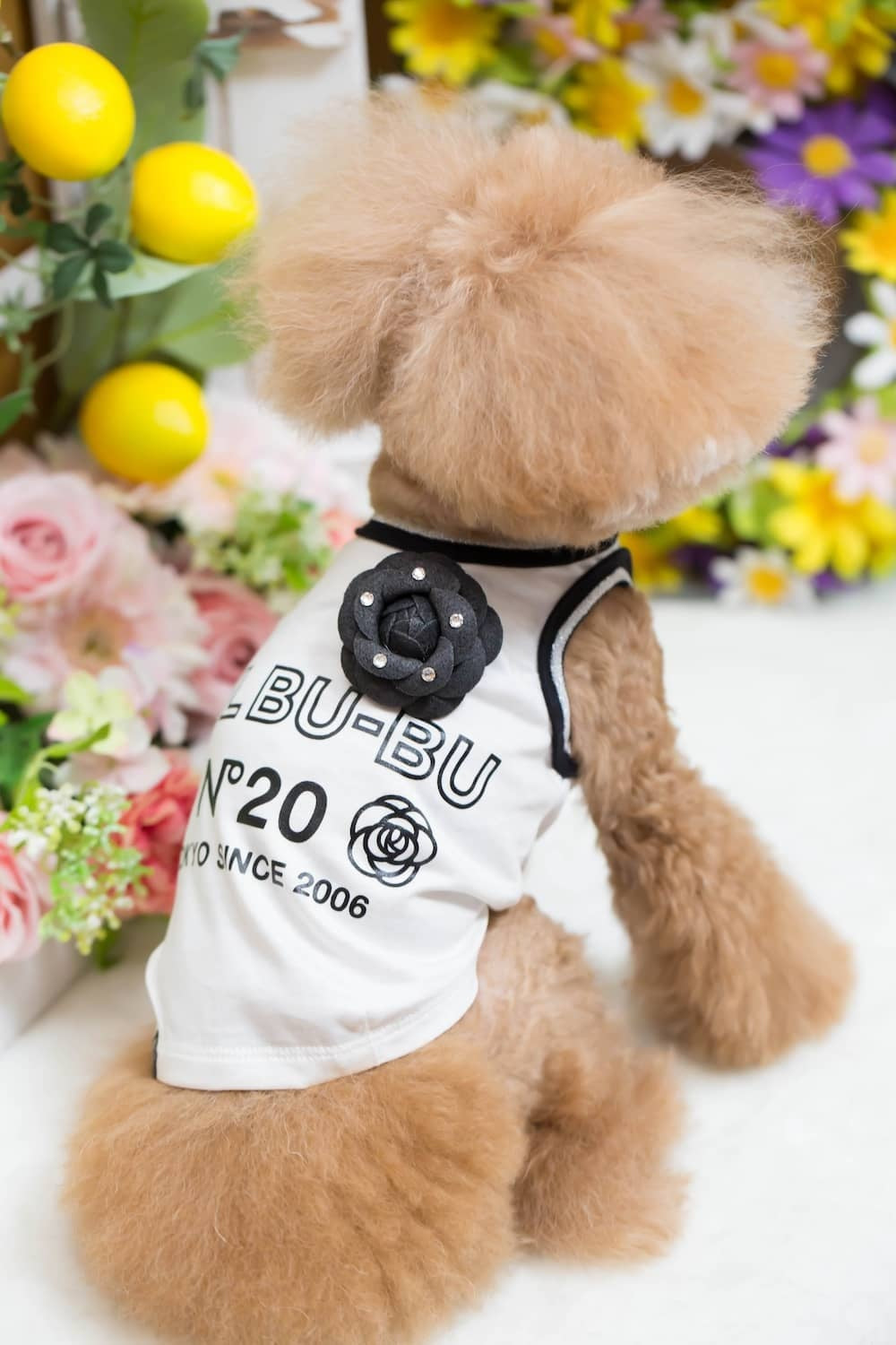 ブルブブ BUL BU-BU COOL 20th Anniversary T/K【小型犬 犬服 トップス タンクトップ ノースリーブ セレブ】