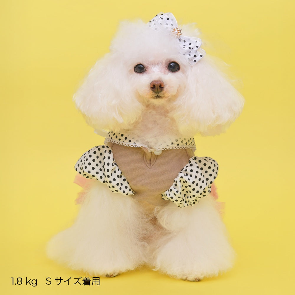 ゴッドピヴァ GODPIVA ロイヤルドットワンピース【小型犬用 犬用 ドッグウエア トップス ワンピース スカート ドレス セレブ】