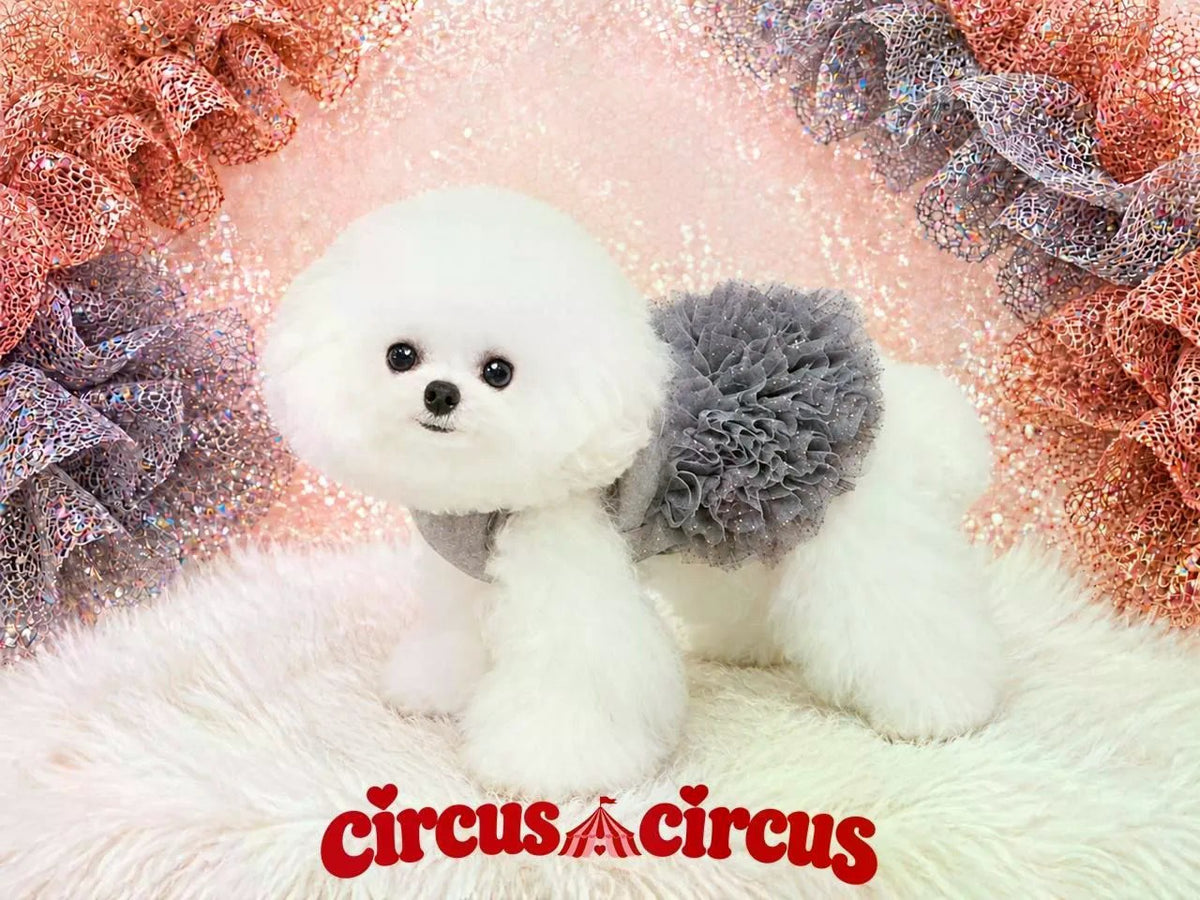 サーカスサーカス circus circus Glittery Frill Warm OP ワンピース(CCW-0306) XXS~L【小型犬 ワンピース フリル】