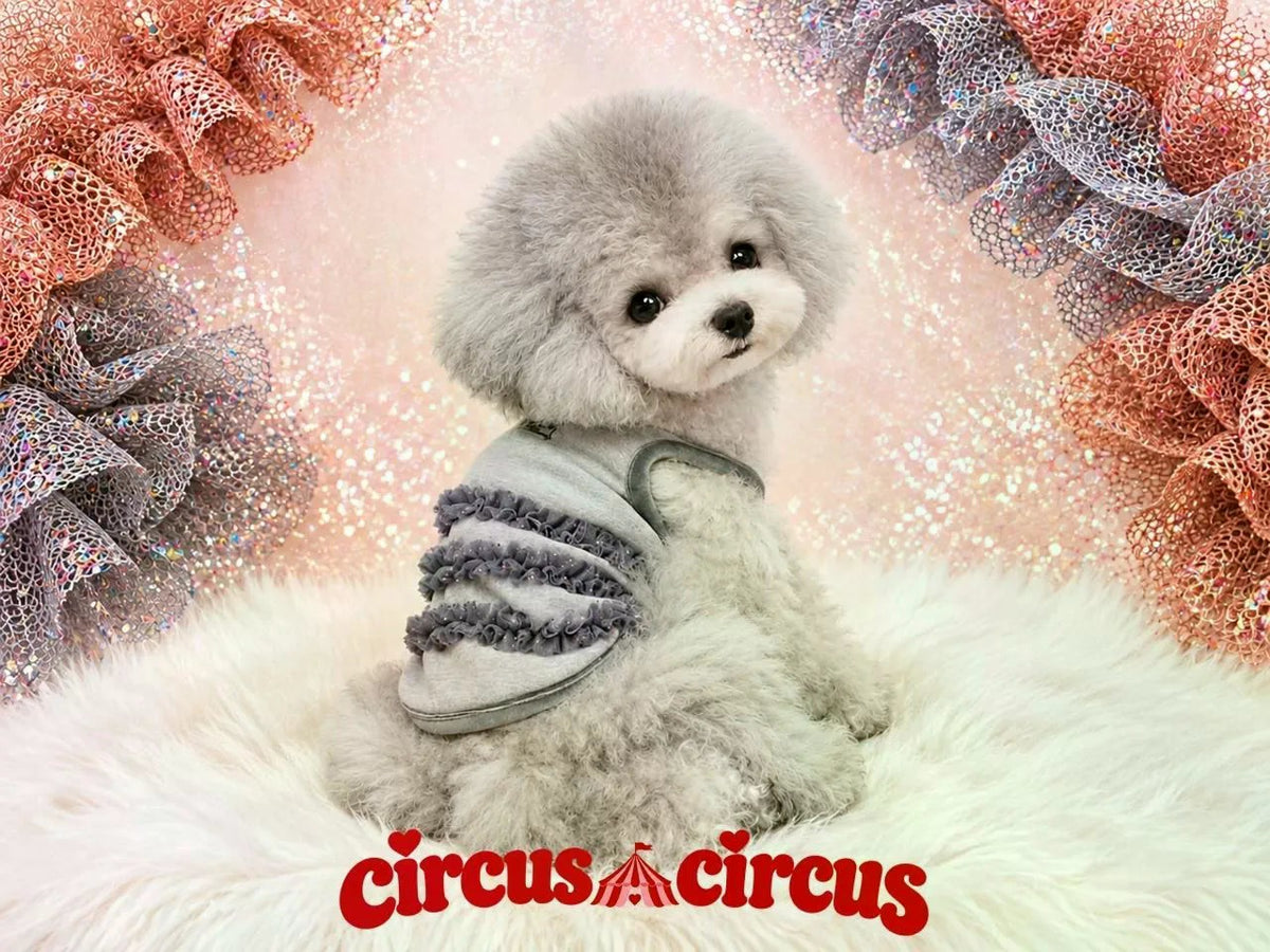 サーカスサーカス circus circus Glittery Frill Warm Tops ワンピース(CCW-0305) XXS~L【小型犬 トップス ワンピース フリル】