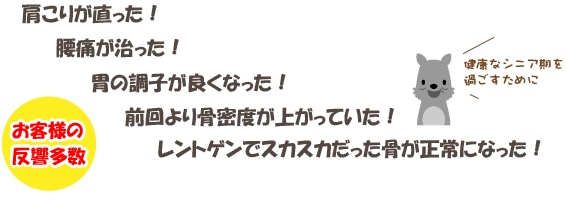 プライムケイズ Prime KS カルシウムパウダー うなぎの骨の微粉末30g【犬 猫 サプリメント カルシウム】
