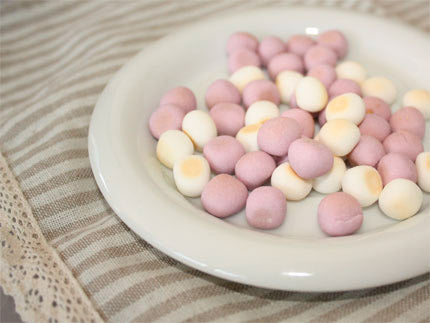 プライムケイズ Prime KS カルシウム村のブルーベリー農園 80g【犬 ペット おやつ ボーロ カルシウム】