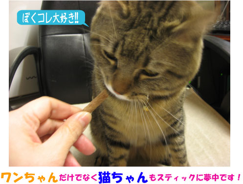 プライムケイズ Prime KS どさんこたらスティック 90g【犬用 猫用 おやつ 魚】