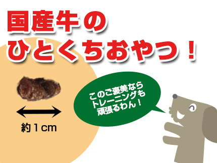 プライムケイズ Prime KS ビーフビッツ【犬 ペット おやつ 肉】