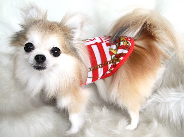 オッティ Otty マリン柄 メッシュタンクトップ【小型犬 ウエア 犬服 カジュアル トップス タンク】