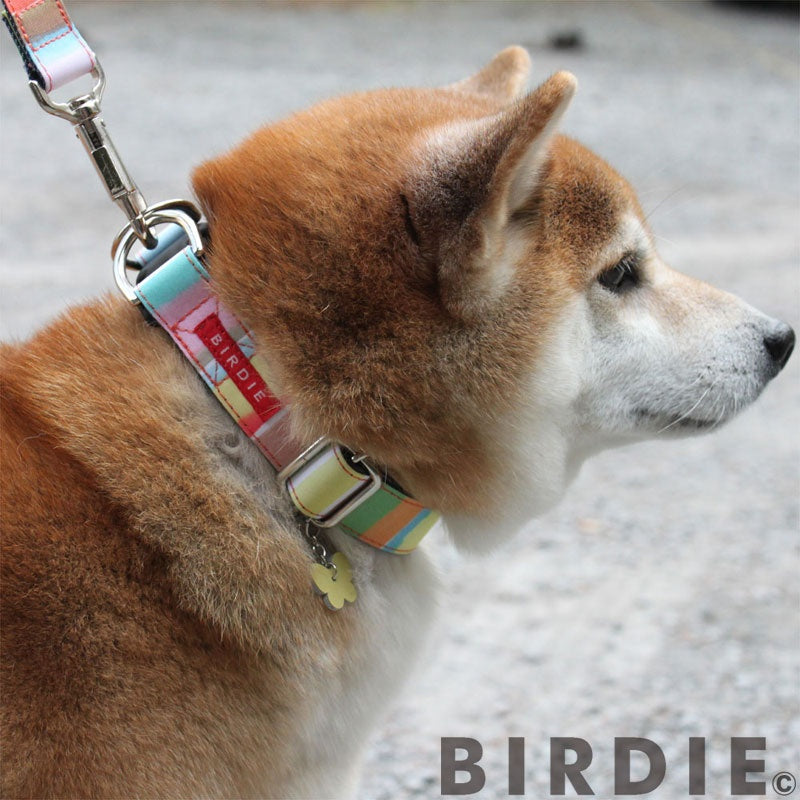 バーディ BIRDIE ワンタッチマルチボーダーカラー(SS)【超小型犬/ ペット 首輪 カジュアル カラー】