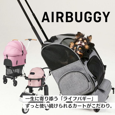 AirBuggy エアバギー