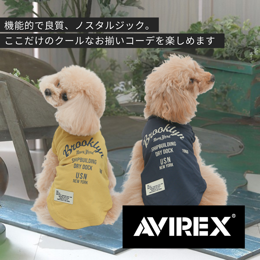AVIREX