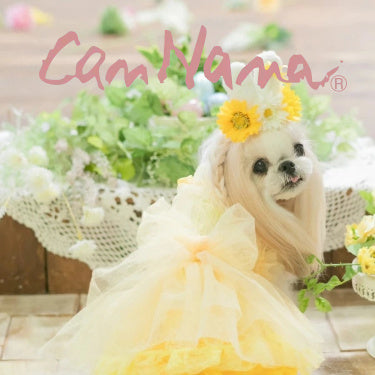 CanNana