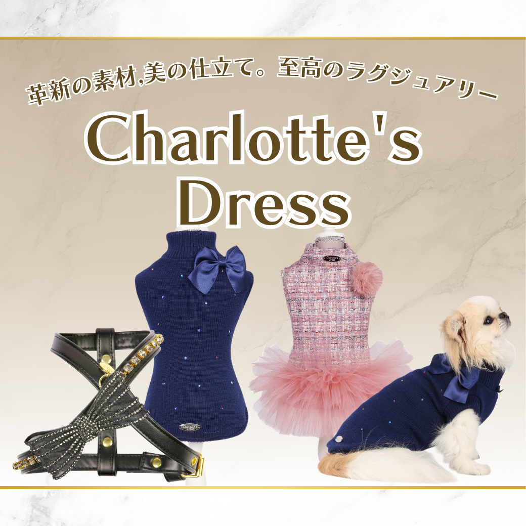 Charlotte's Dress