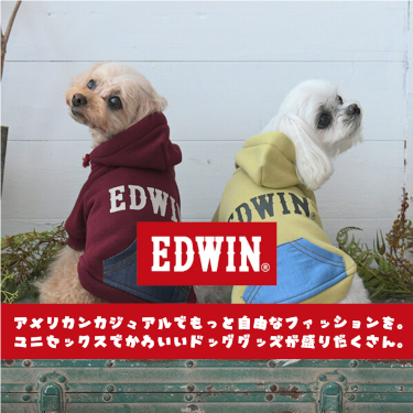 EDWIN
