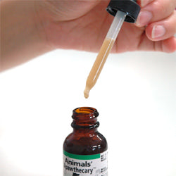 アニマル エッセンシャルズ ANIMAL Essentials プレバイオティクスプラス 29.5ml【犬用 サプリメント 栄養】