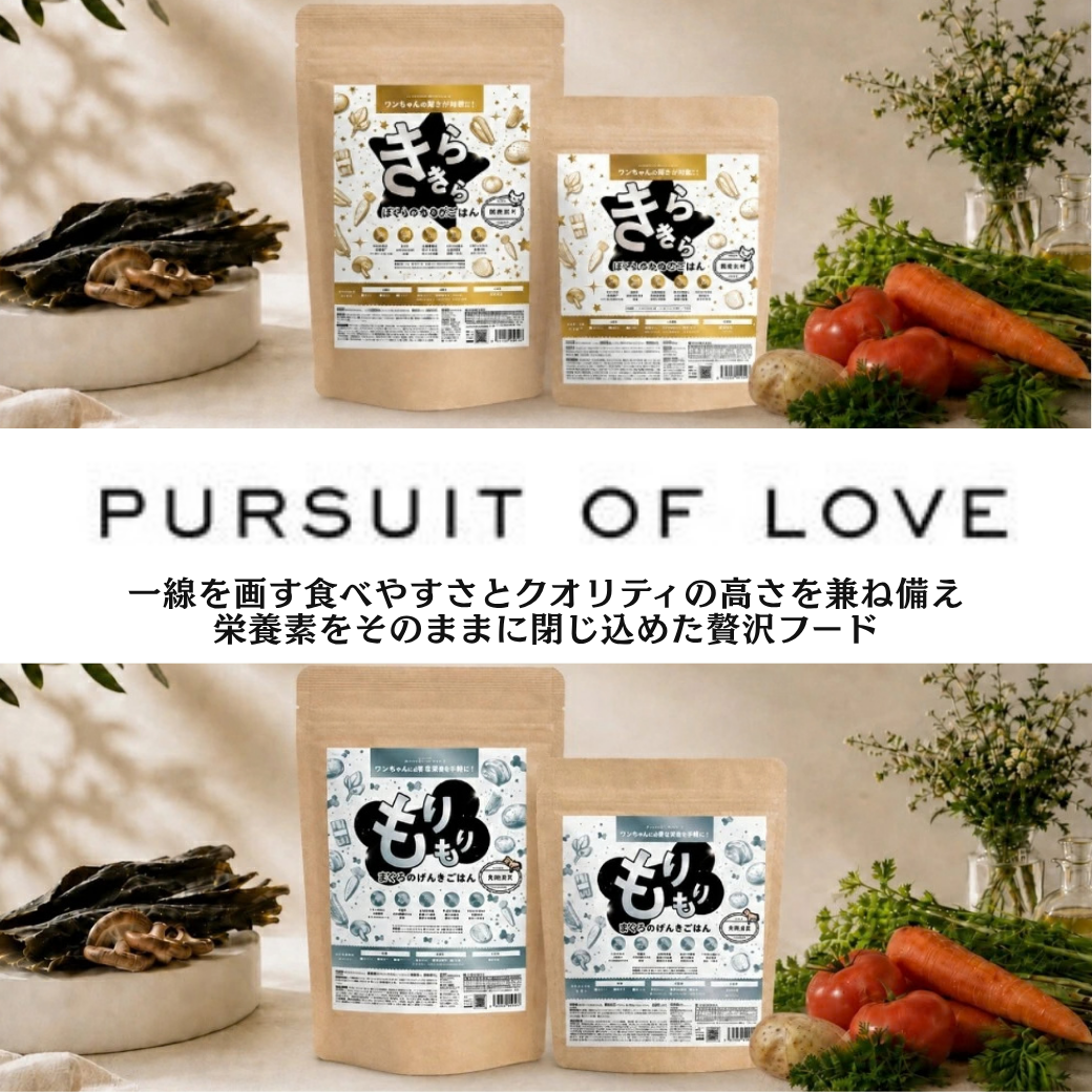 きらきらぼくらのなみだごはん パシュートオブラブ PURSUIT