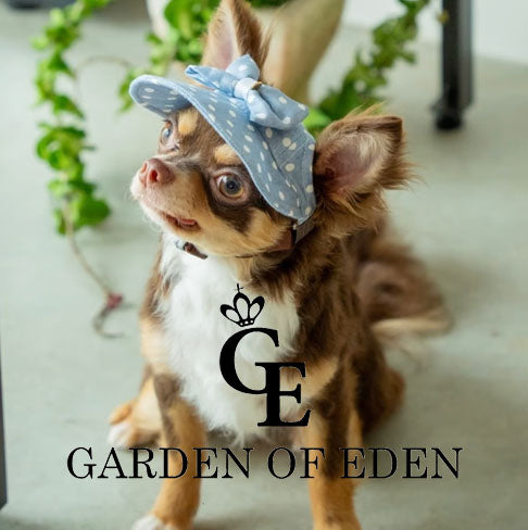 Garden of Eden