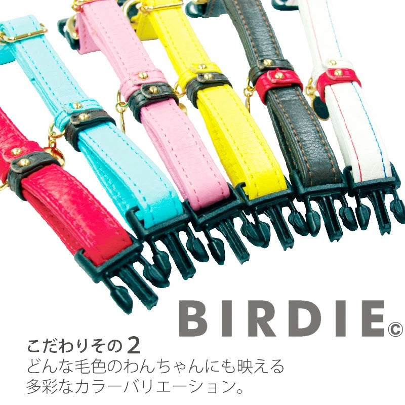 バーディ BIRDIE ジェントルレザーカラー(S)【小型犬/ ペット 首輪 カジュアル カラー】 送料無料