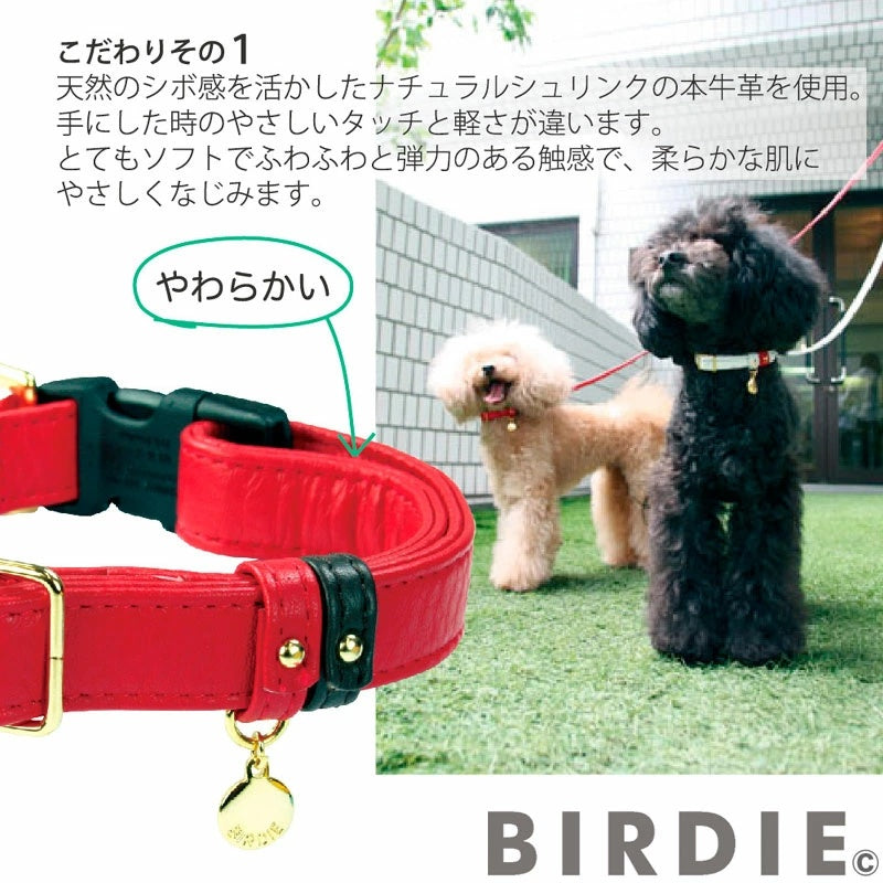 バーディ BIRDIE ジェントルレザーカラー(S)【小型犬/ ペット 首輪 カジュアル カラー】 送料無料