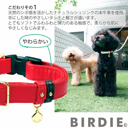 バーディ BIRDIE ジェントルレザーカラー(S)【小型犬/ ペット 首輪 カジュアル カラー】 送料無料
