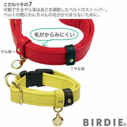 バーディ BIRDIE ジェントルレザーカラー(S)【小型犬/ ペット 首輪 カジュアル カラー】 送料無料