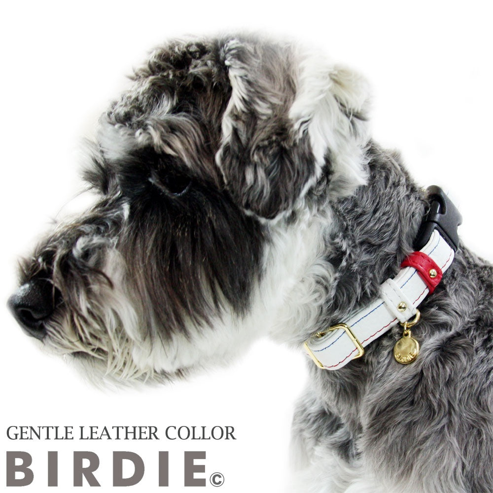 バーディ BIRDIE ジェントルレザーカラー(S)【小型犬/ ペット 首輪 カジュアル カラー】 送料無料