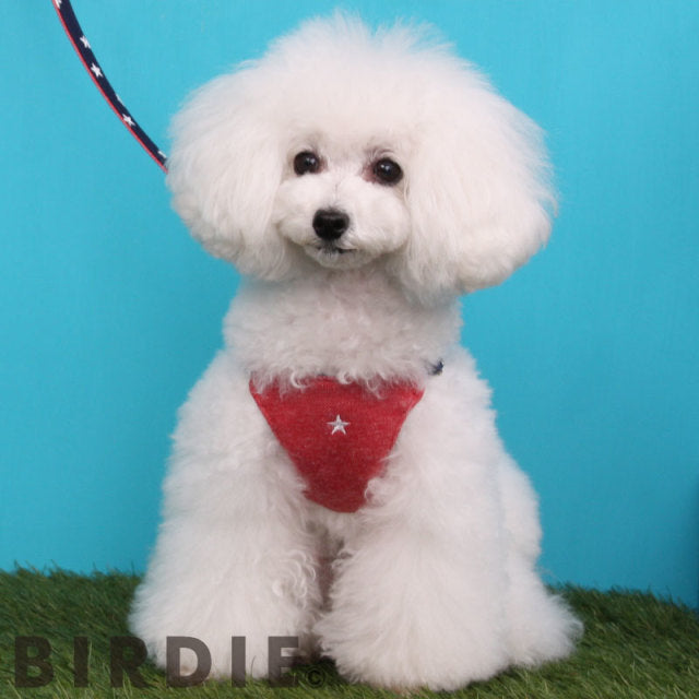 バーディ BIRDIE スターソフトハーネス【犬用 首輪 カジュアル ハーネス 胴輪】