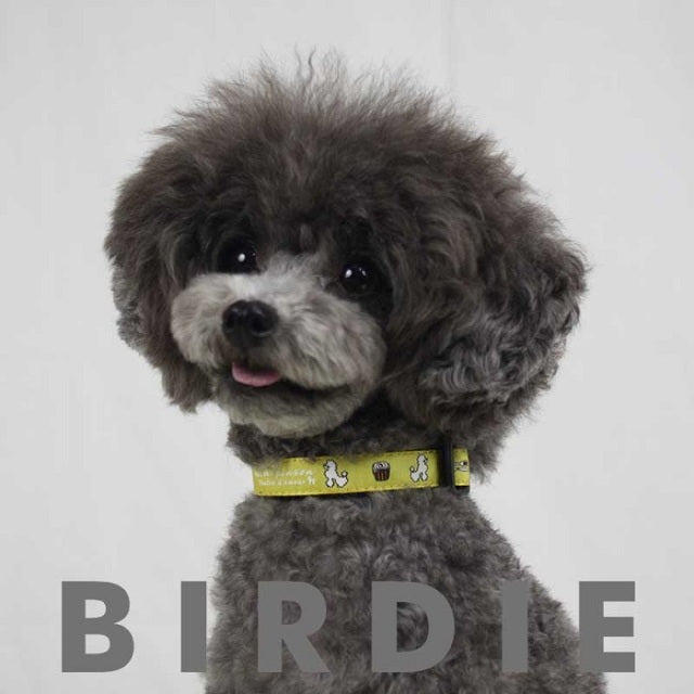 バーディ BIRDIE ティータイムカラー【犬用 ペット 首輪 カラー カジュアル】