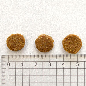 ナチュラリー・フレッシュ Naturally Fresh チキン＆ダック【犬用 ペット ドライフード 全年齢対応】