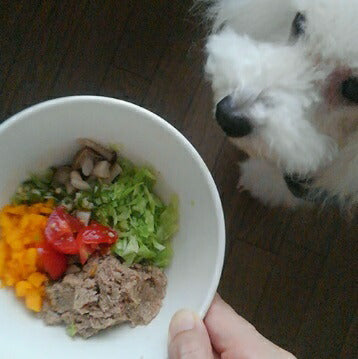 ビオリオーブ Bioliob ピュア・チキン 120g×12【犬用 猫用 ペット レトルトフード おかず 手作りサポート食材 トッピング】 送料無料
