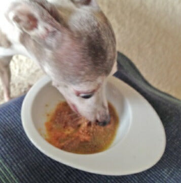 ビオリオーブ Bioliob ピュア・チキン 120g×12【犬用 猫用 ペット レトルトフード おかず 手作りサポート食材 トッピング】 送料無料